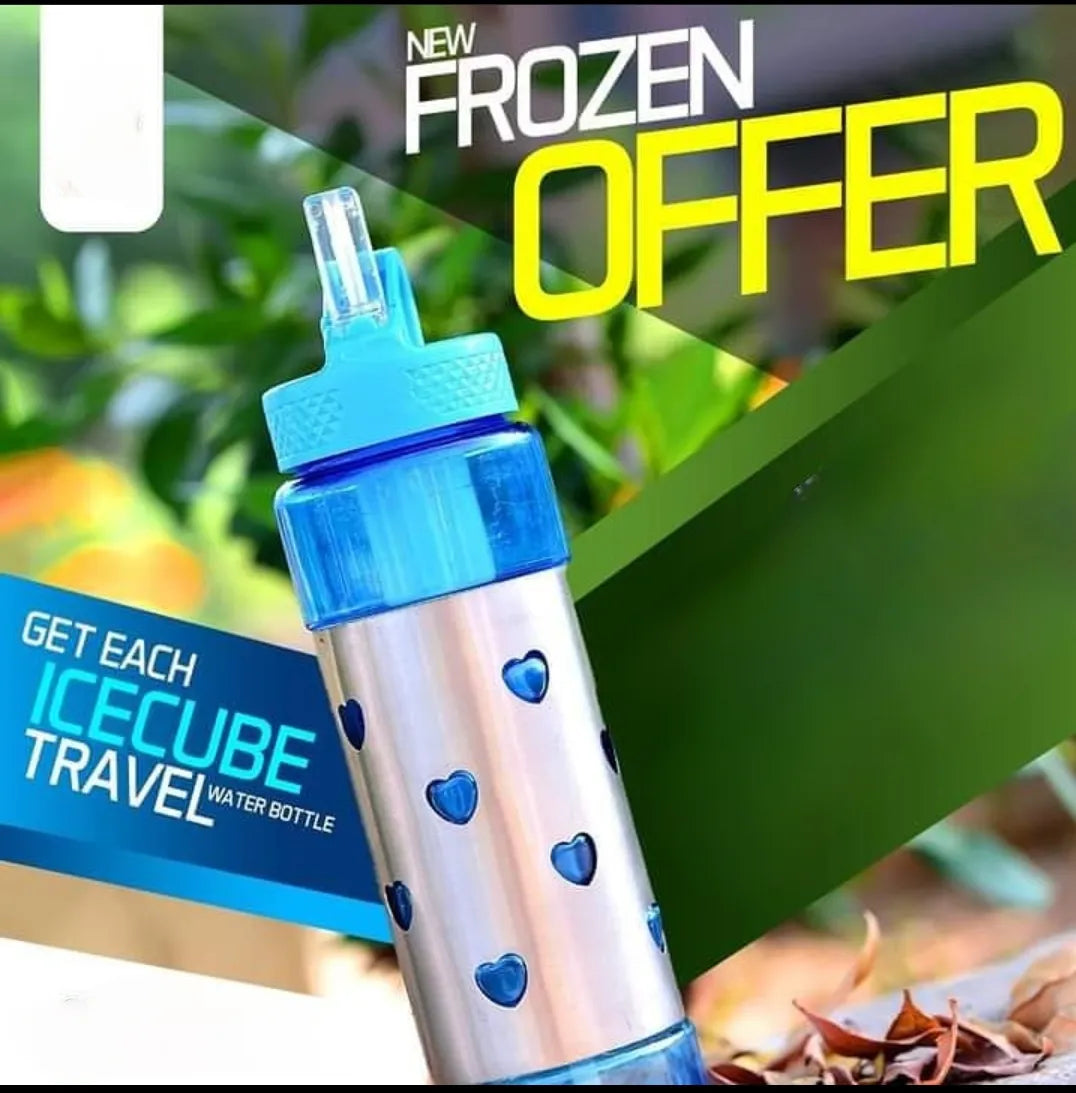 Frozen Steel Water Bottle β Stainless Steel Bottle with Straw