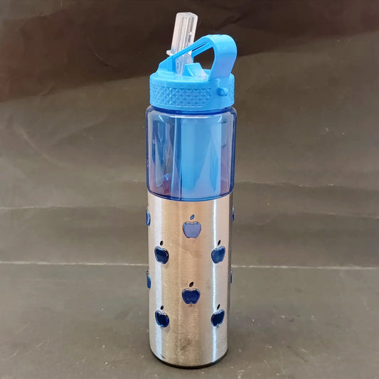 Frozen Steel Water Bottle – Stainless Steel Bottle with Straw